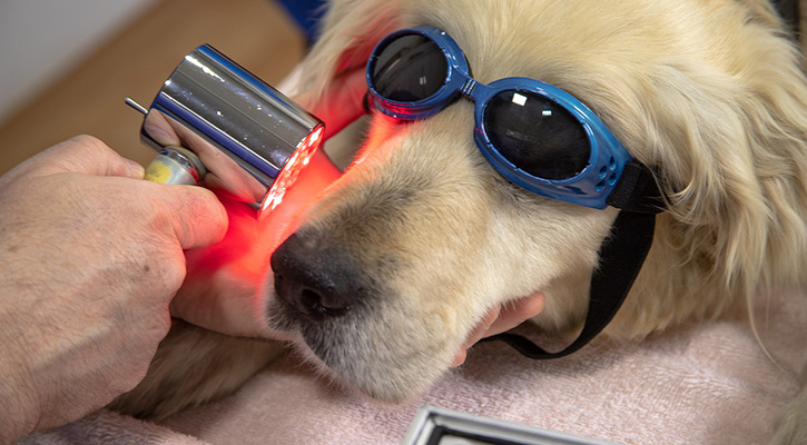 Laser Therapy