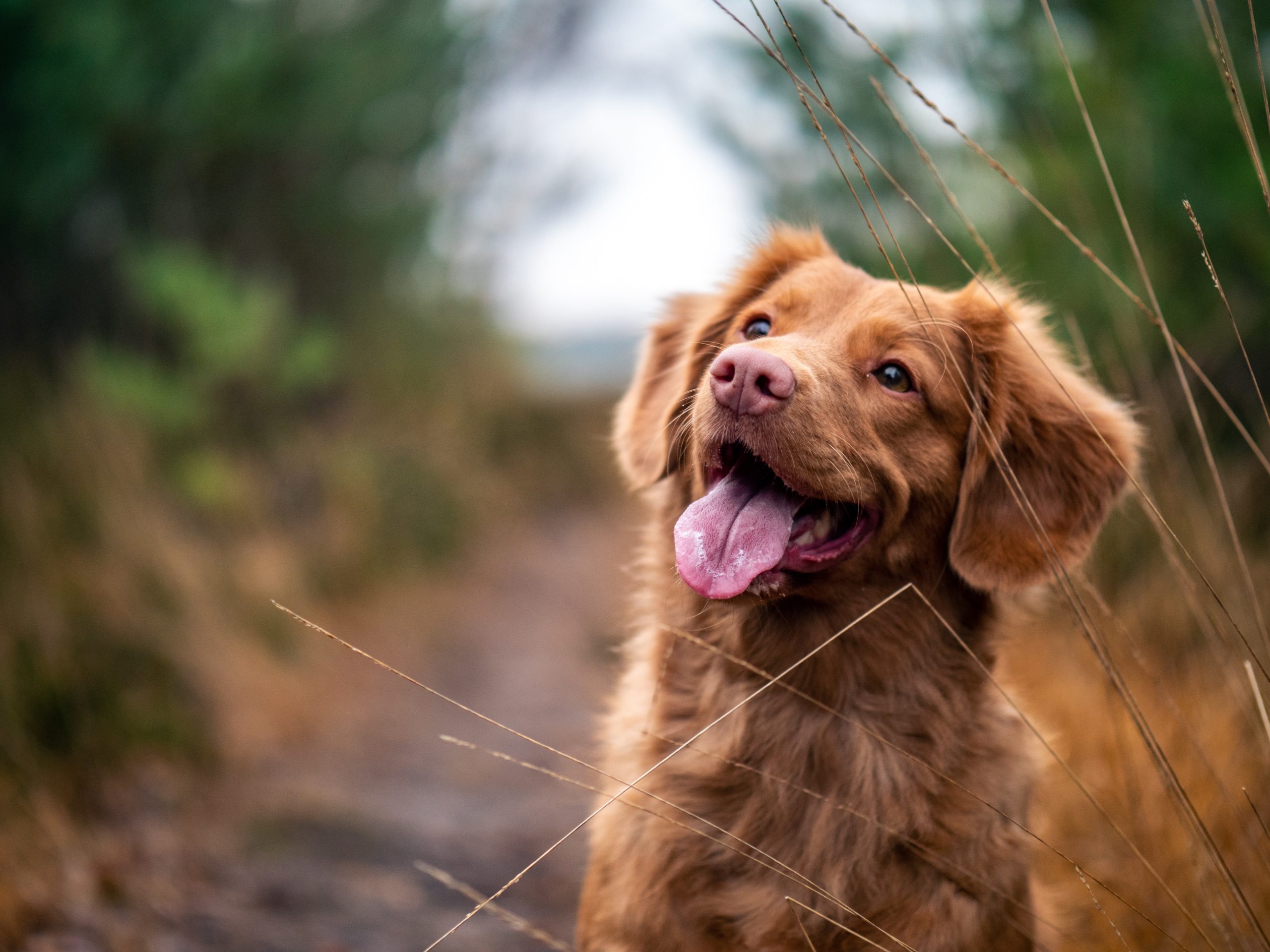 jamie-street-UtrE5DcgEyg-unsplash jamie-street-UtrE5DcgEyg-unsplash
